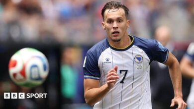 Newcastle transfer news: Club signs Amar Dedic from Benfica for around £30m Newcastle transfer news: Club signs Amar Dedic from Benfica for around £30m